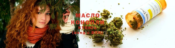 2c-b Каменка