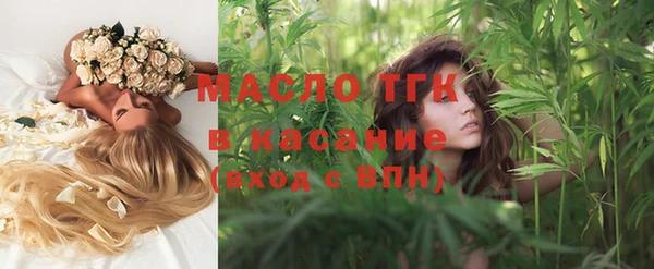 2c-b Каменка
